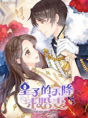 皇子的天降未婚妻
