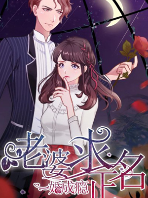 一婚难求：老婆求正名