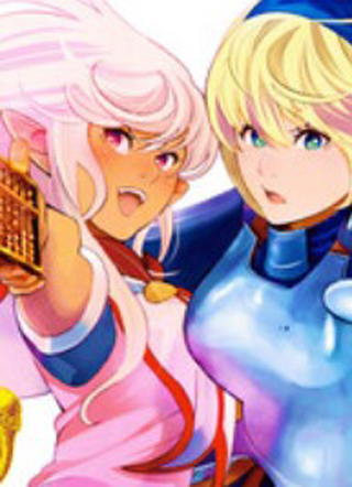 女骑士，变成会计了。 截图1