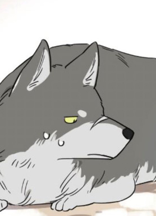 捡了东西的狼 截图1