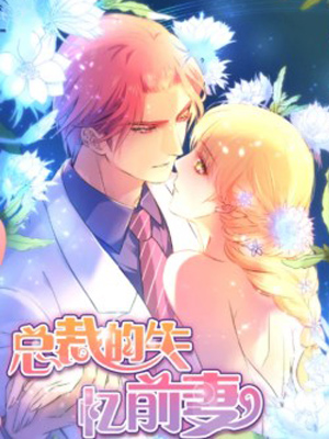 总裁的失忆前妻