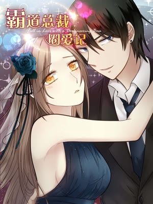 霸道总裁圈爱记