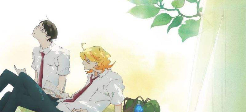 校园蔷薇漫画漫画