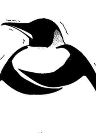 快把动物放进冰箱 截图1