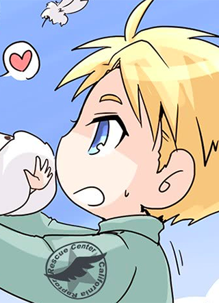 进化之基 截图1