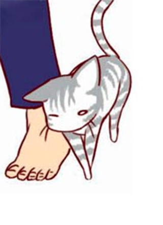 我的小猫和老狗 截图1