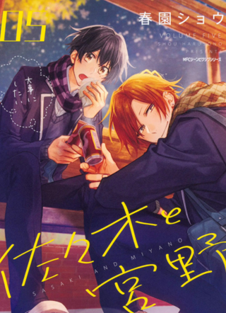 佐佐木与宫野 截图1