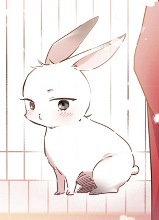 夏菲菲的兔子们 截图1