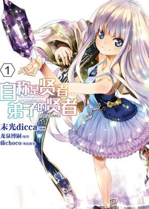 自称是贤者弟子的贤者