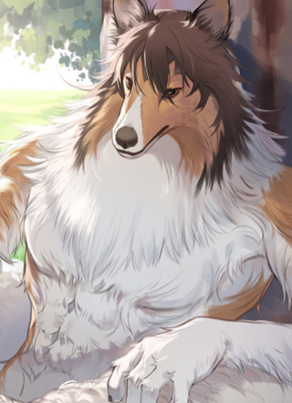 狼和牧羊犬 截图1