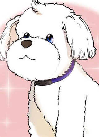 用狗的眼睛看吧 截图1