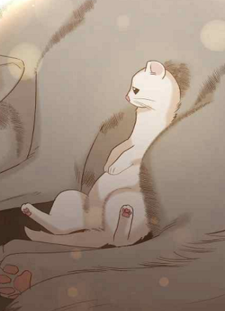 请赐予白鼬死亡吧！ 截图1