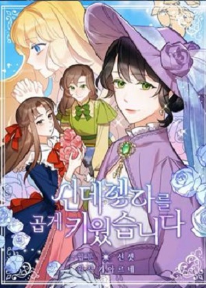 穿成灰姑娘的恶毒继母