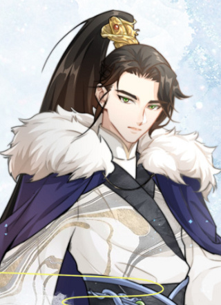 国医狂妃 截图1