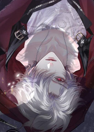 余晖未晚，归时有猫