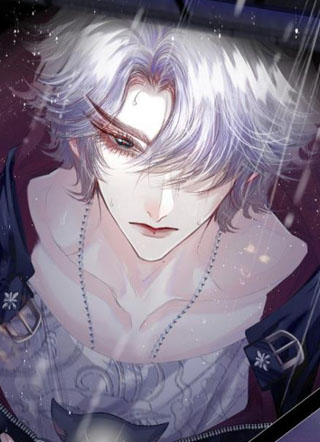 余晖未晚，归时有猫 截图1