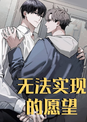 无法实现的愿望