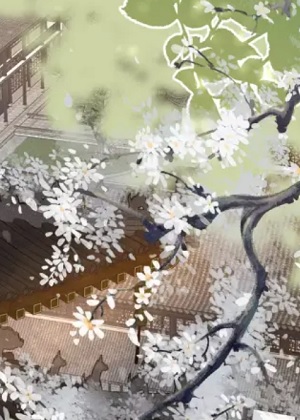 团宠狂妃倾天下