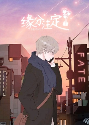 缘分注定