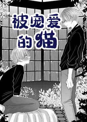 被宠爱的猫