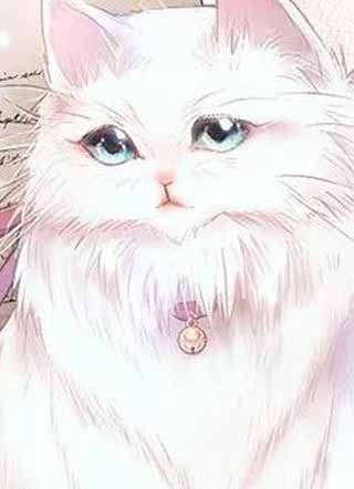 糖果公爵 截图1