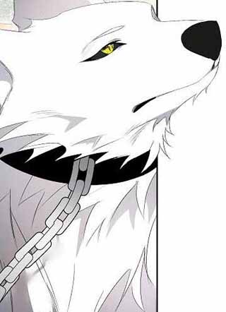 我们正在保护男主角 截图1