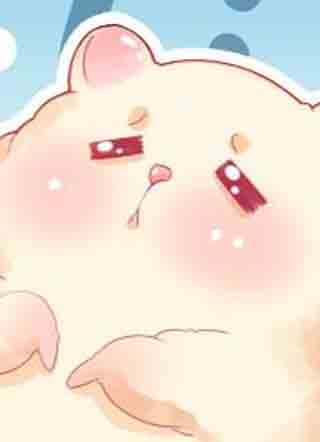 金丝熊的恋爱宝典 截图1