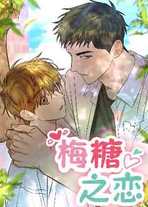 梅糖之恋