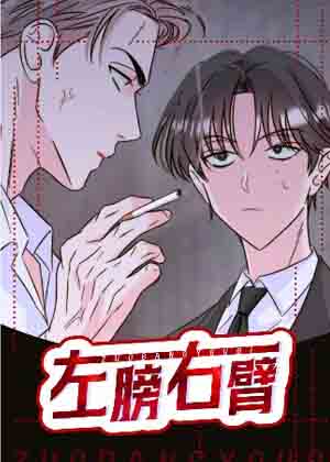 左膀右臂