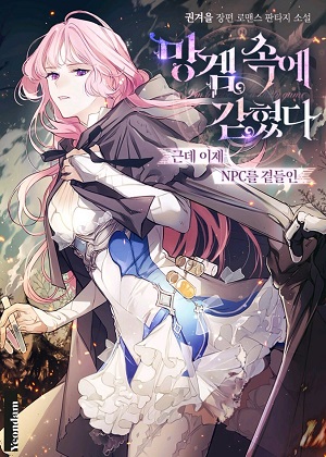 被困在网游中：但是成为NPC