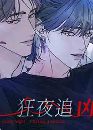 狂夜追凶