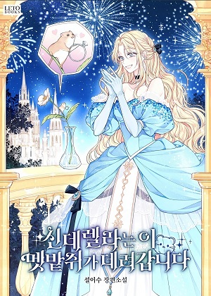 灰姑娘被老鼠带走了