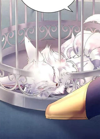 我家有只小狐狸 截图1