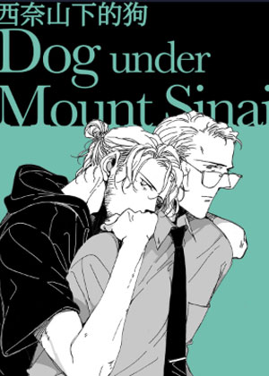 西奈山下的狗
