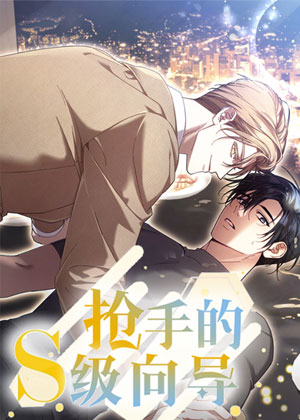 抢手的S级向导