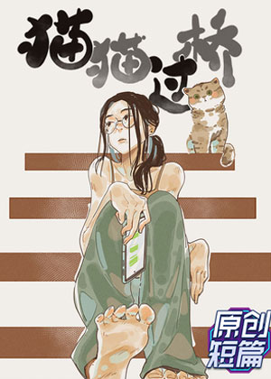 猫猫过桥