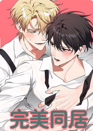 完美同居