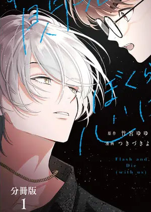 我们湮灭的闪光