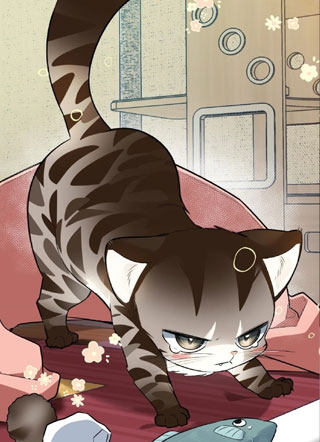 野猫的命定人类 截图1