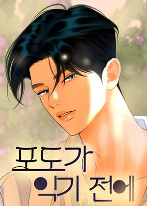 在葡萄成熟之前