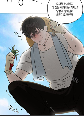 Number One Complex 截图1