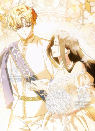 追星族王妃的离婚危机 截图1