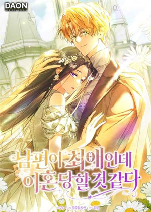 追星族王妃的离婚危机