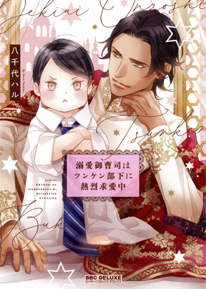 溺爱系少爷向臭脸部下热烈求爱中