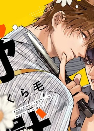 好事多磨的野兽们