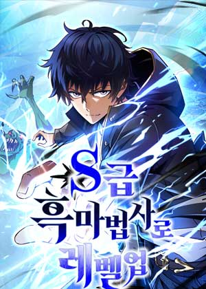 作为S级黑魔法师升级