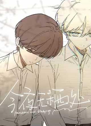 今夜无栖处 截图1