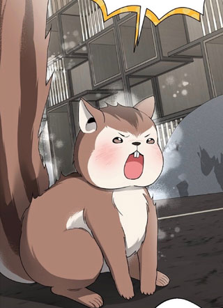 孤独松鼠也有自己的巢 截图1