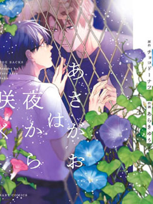 牵牛花自夜间绽放