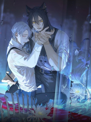 奥格斯的法则第2季